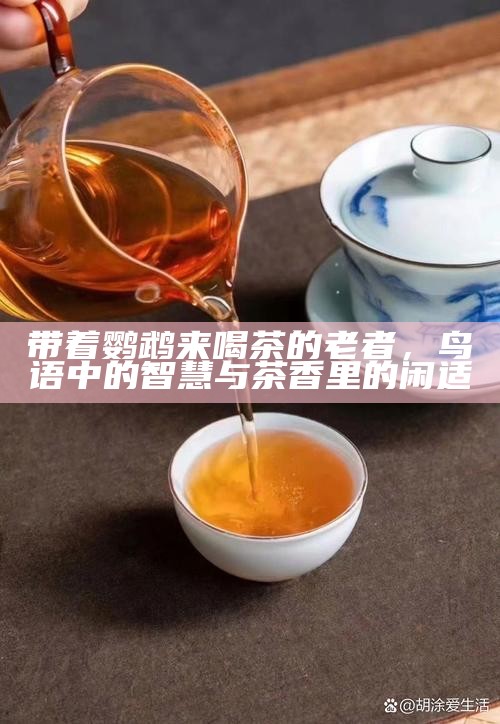 带着鹦鹉来喝茶的老者，鸟语中的智慧与茶香里的闲适