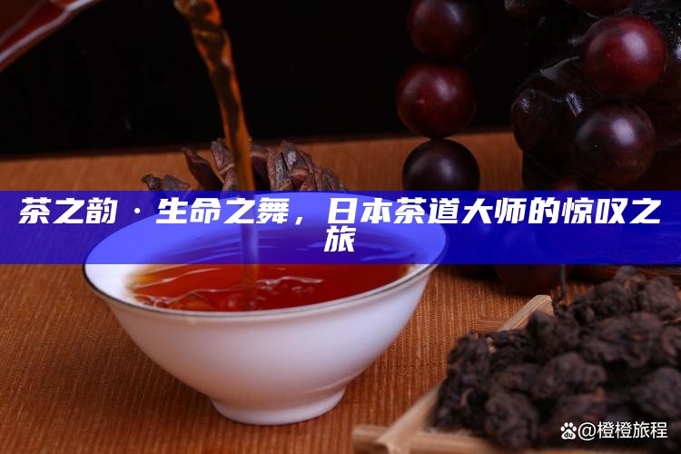 茶之韵·生命之舞，日本茶道大师的惊叹之旅