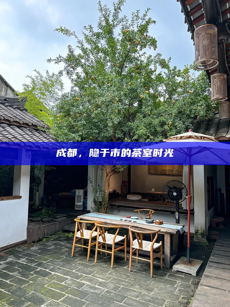 巷弄幽深处，茶香静谧时，在宽窄巷子寻找避世角落