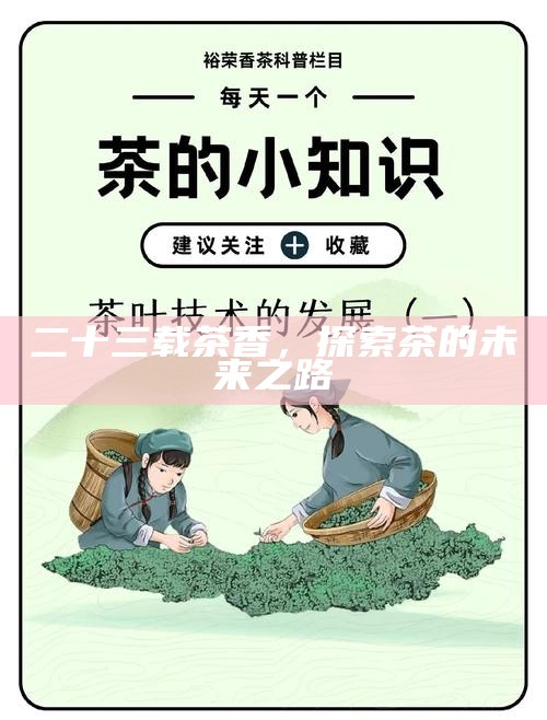 二十三载茶香，探索茶的未来之路