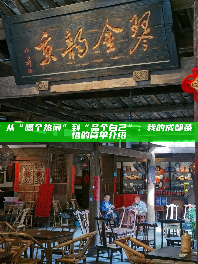 从“喝个热闹”到“品个自己”：我的成都茶悟的简单介绍